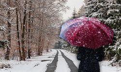 Meteoroloji uzmanı Erzincan'la birlikte doğuyu uyardı