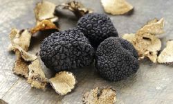 Bayburt'ta 'Kara Elmas' bulundu, Erzincan'da da yetişiyor mu?