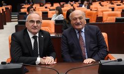 Erzincan Milletvekili Karaman, TBMM’de HSK seçimine katıldı