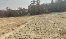 Kemaliye yeni ürün için düğmeye bastı...