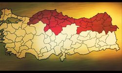 Türkiye'de kahverengi kokarca alarmı!