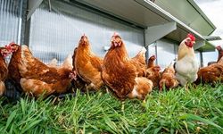 Erzincan Tarım halkı uyarıyor...