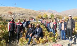 Cimin Üzümü'nde kalite ve verim artacak...