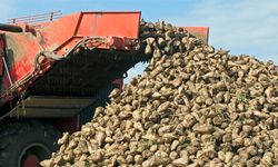 Kelkitli Çiftçi, Erzincan Fabrikasına isyan etti...