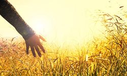 Stresinden kurtulmanın 6 yolu