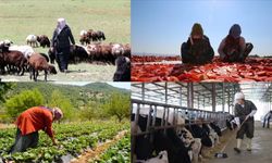 Aile işletmelerine yeni teşvikler geliyor