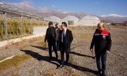Sebze ve meyve cenneti Üzümlü'de seralara inceleme...