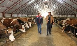 Erzincan’da modern hayvancılığa yakın markaj