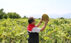 Erzincan Dikkat! B-Reçete uygulaması devreye girdi...