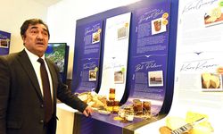 DAP 12 yılda 2 bin 86 projeye destek verdi