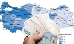 Erzincan'da kişi başına kaç TL düşüyor?
