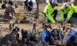 Erzincan Emniyeti toprağı fidanla buluşturdu