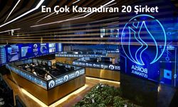 Türkiye'nin en çok kazandıran 20 şirketi açıklandı