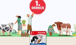 Erzincan, 1. Sınıfa Yükselen 30 İlden Biri Oldu