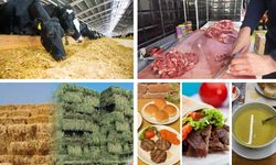 Erzincan'da etteki artışın perde arkası