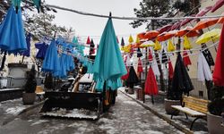 Erzincan'da kar vurdu, renkler kapandı!