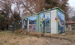 Erzincan’ın değerleri trafolarda hayat buldu