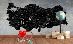 Türkiye'de en çok kanser vakası görülen iller açıklandı