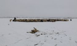 Erzincan'a kuvvetli kar uyarısı...