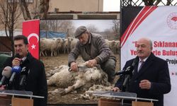 Erzincan Milletvekilleri çocukluk anılarıyla geldi, koyun kırkımı gündem oldu