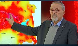 Prof. Dr. Naci Görür Yedisu Fayına dikkat çekti