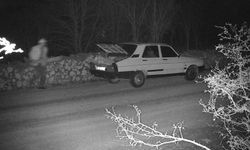 OGM’den 7/24 Kaçak Kesim Önlemi