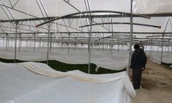 Erzincan’da Kar Altında Ama Üretim Sürüyor