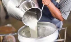 Erzincan'da süt fiyatları tırmanışta