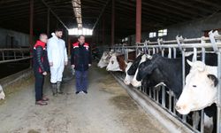 Erzincan'da geleceğe göz kırpan sektör...