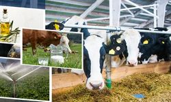 Çiftçilere 2 milyar tarımsal destekleme ödemesi yapılacak