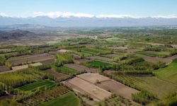 Tarımsal üretimde Türkiye bu sene her alanda düşüşte