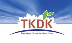 TKDK, Erzincan dahil 12 kente personel alacak...