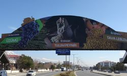 Erzincan üst geçidinde tanıtım var, ama tek yönlü!