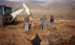Üzümlü’de Tarımda Yeni Denemeler...