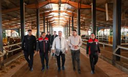 Vali Aydoğdu’dan Besi İşletmesine Ziyaret