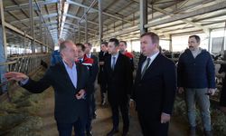 Vali Aydoğdu’dan Üzümlü’de Süt Tesisine Ziyaret