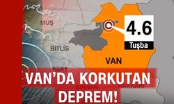 Van'da halkı korkutan deprem oldu uzmanlar açıklama yaptı