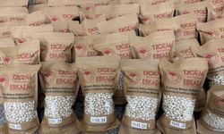 Erzincan’ın yeni fasulyesi raflardaki yerini aldı