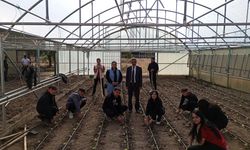 Erzincan'da kışlık üretimde ilk hasat gerçekleşti