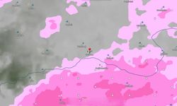 Erzincan'da kış ortasında hava ısınıyor uyarılar art arda geliyor