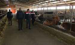 Erzincan’da modern hayvancılık modeli yerinde incelendi