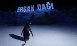 Valilik Nihilist Penguen'i Erzincan'a Getirdi