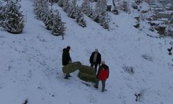 emah Belediyesi’nden yaban hayatına kış desteği