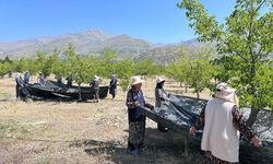 Erzincan’da %70 Hibeli Anahtar Teslim Bahçeler Kurulacak