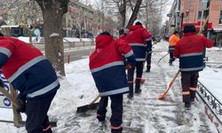 Erzincan Belediyesi’nden Karla Mücadele Seferberliği