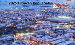 Erzincan'da 2025 yılında kaç konut satıldı belli oldu