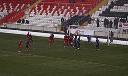 Erzincanspor kendi evinde kazandı