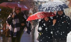 Erzincan'da pazar günü bahar, pazartesi kış var