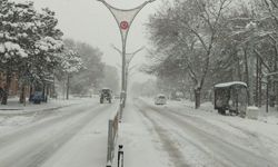 Erzincan'da pazartesi günü okullar tatil olur mu?