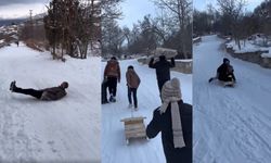 Bembeyaz Bir Direniş: Yüzyıllara Meydan Okuyan Kartopu